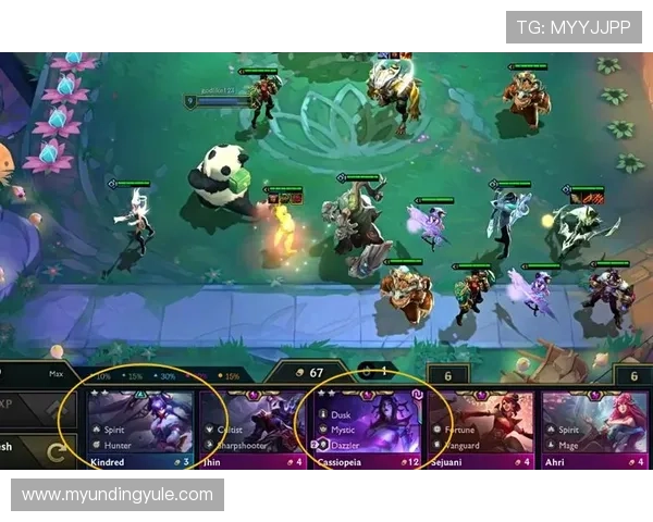 手机云顶登录界面无法加载解决方法详解确保你顺利进入游戏畅玩无阻