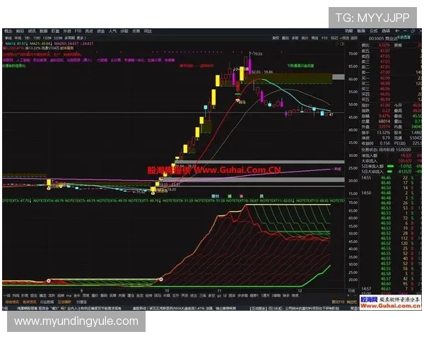 掌握K8凯发滚球的投注技巧与策略实现持续盈利的实用经验分享